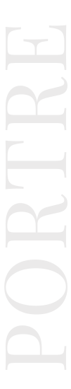 Portré